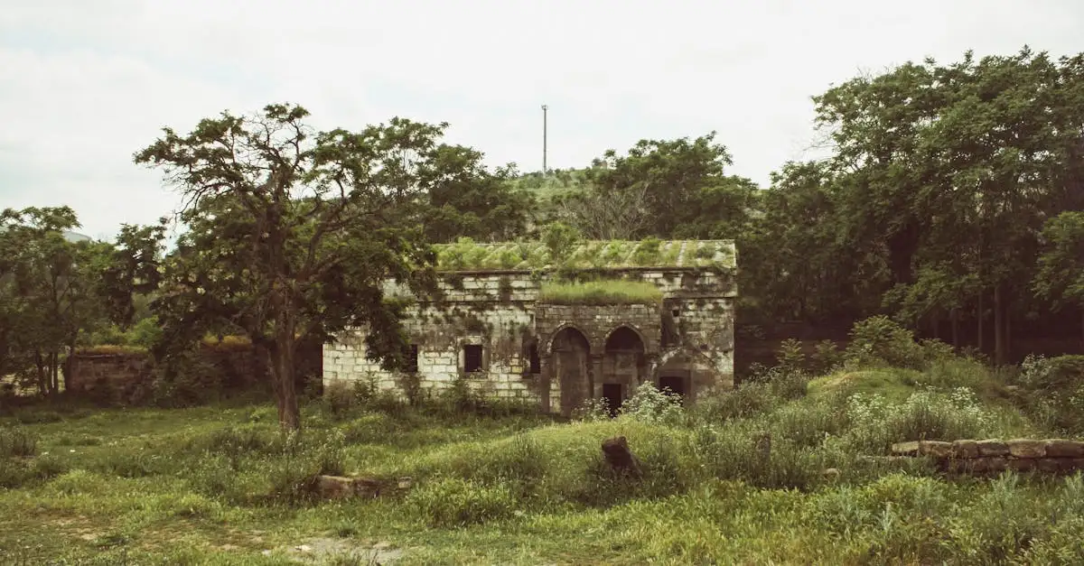 Qual è la storia dell'Honduras in breve?