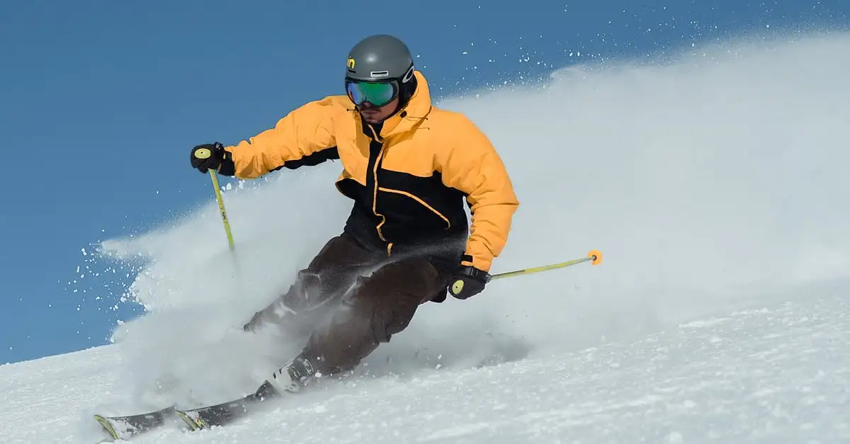 Qual è l'impatto dello sci freestyle sulle Olimpiadi invernali?