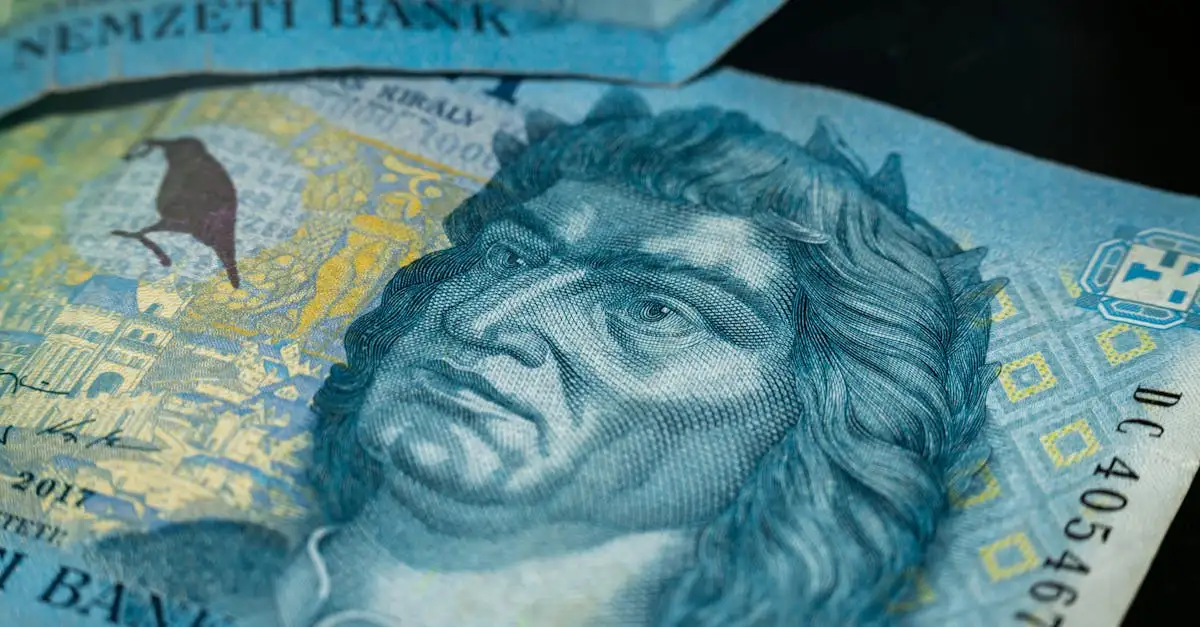 Qual era il ruolo economico dell'Ungheria nell'Impero?