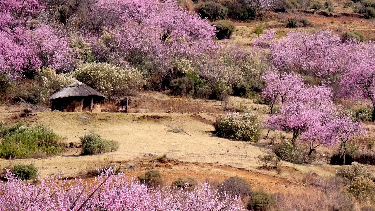 Quali sono i musei e monumenti storici da vedere in Lesotho?