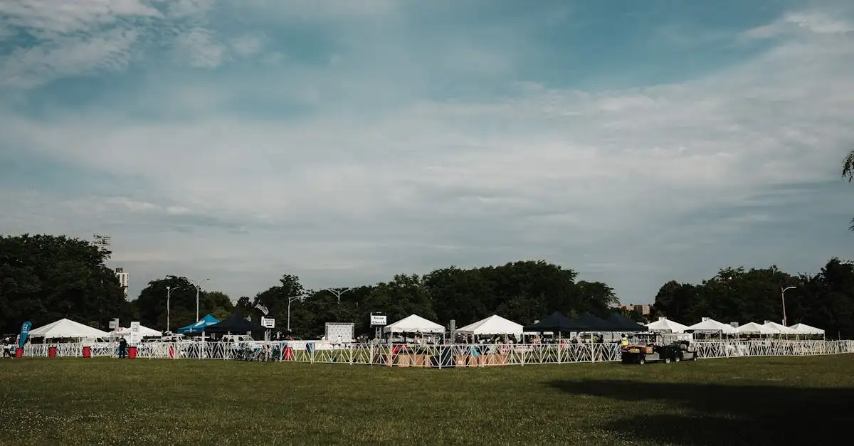 Quali sono le attività e eventi più divertenti in Illinois?