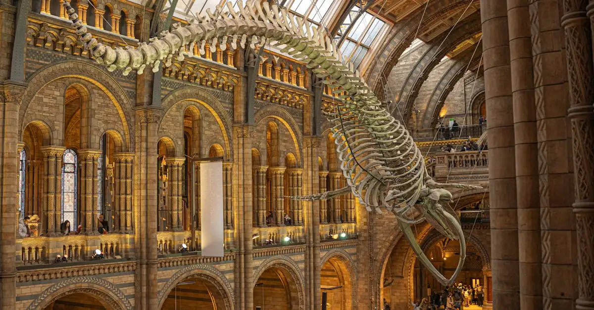 Quali sono le ultime scoperte sui dinosauri nel 2023?
