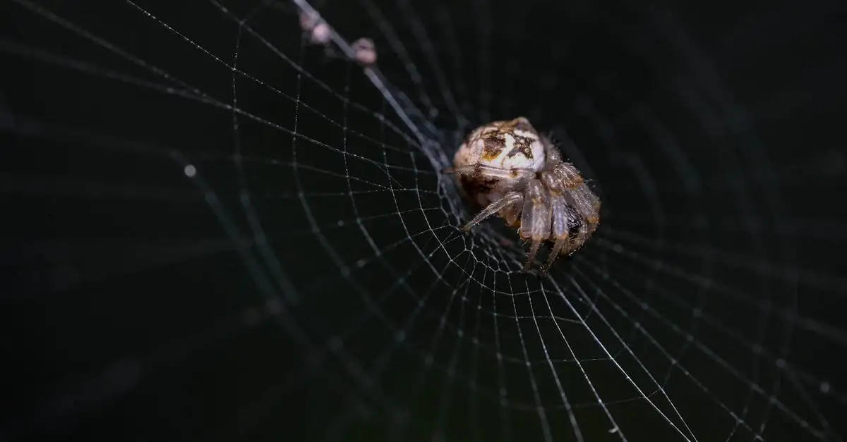 Come l'acqua e l'aglio combattono gli insetti in giardino?