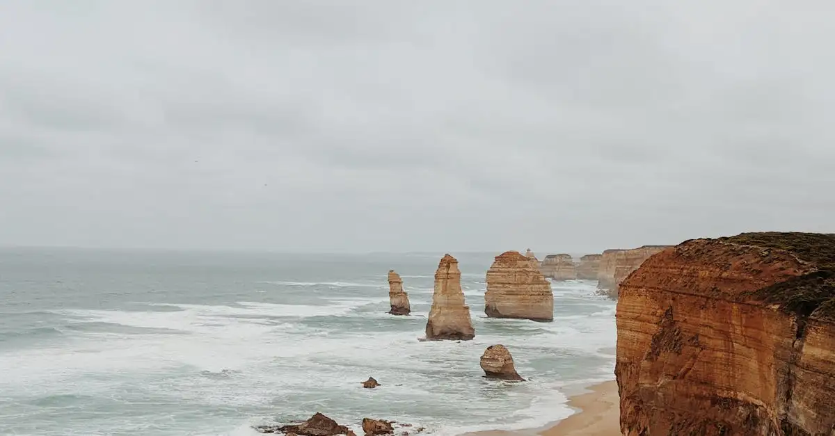 Cosa puoi vedere dai Dodici Apostoli in Victoria?