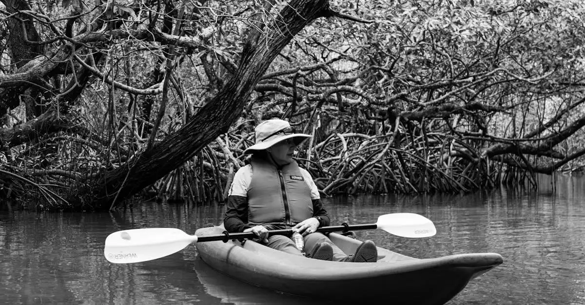 Dove praticare kayak nelle mangrovie di Isla de Ometepe?