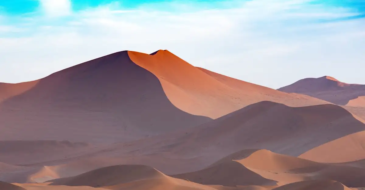 Dove si trovano le famose dune del deserto di Namib?