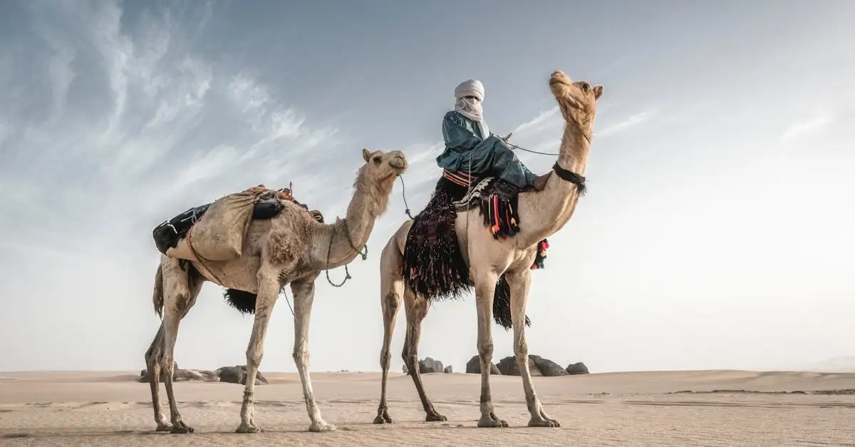 Perché il deserto del Sahara in Algeria è così affascinante?