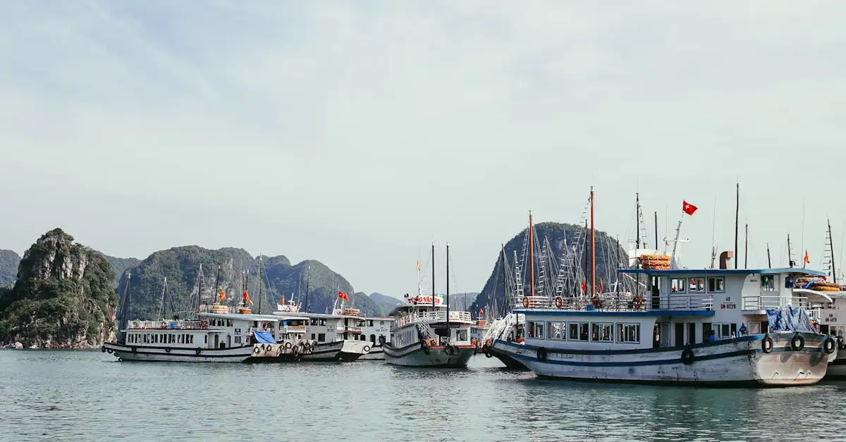 Perché la Baia di Halong è così famosa in Vietnam?