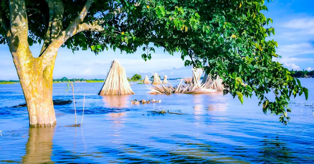 Perché le inondazioni in Bangladesh 2022 sono state devastanti?
