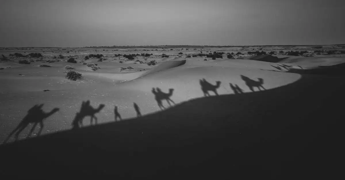 Qual è il deserto in Mongolia con dune e montagne?