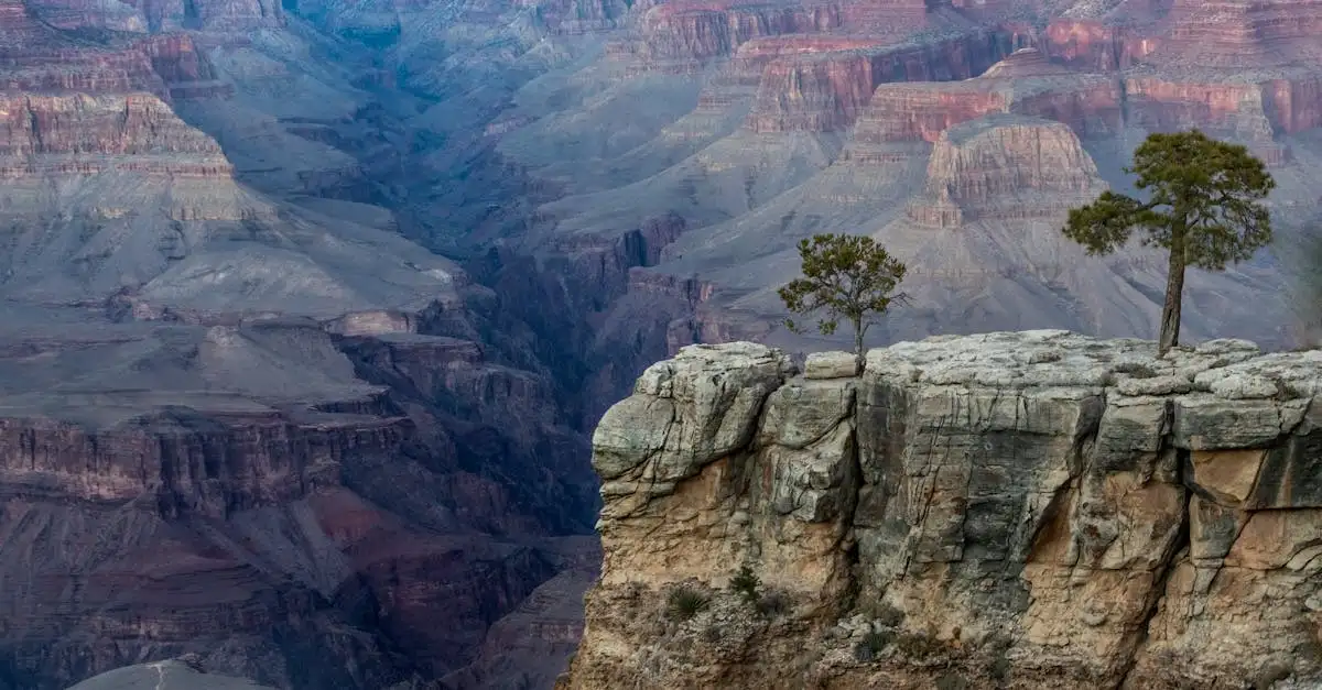 Qual è il parco naturale del famoso Grand Canyon?