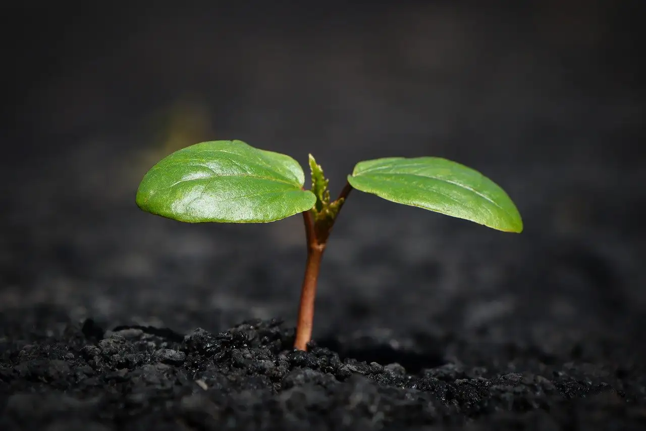 Qual è la dea della terra e madre della natura?