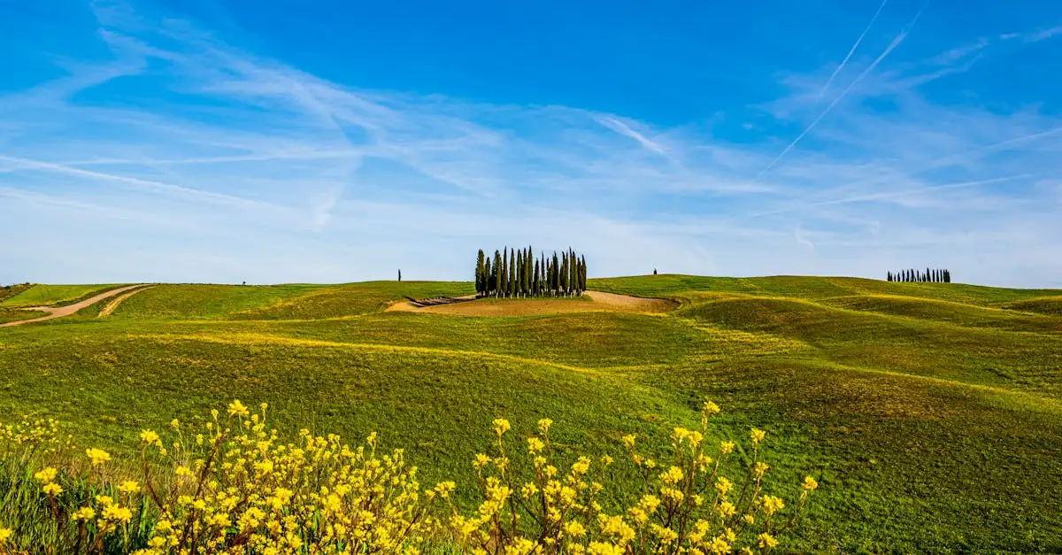 Qual è la regione italiana del Parco del Val d'Orcia?