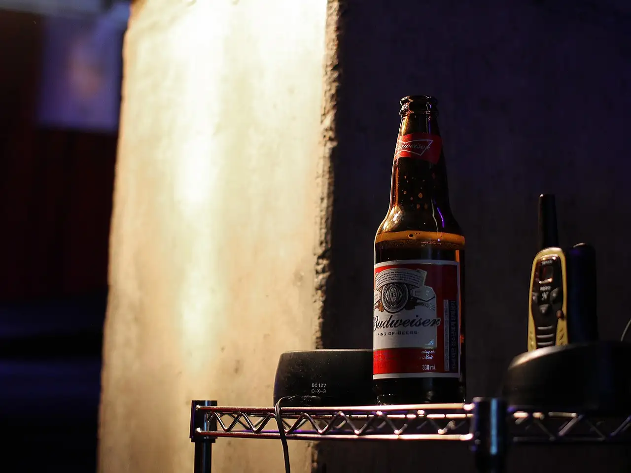 Qual è la storia del marchio Budweiser e le sue origini?