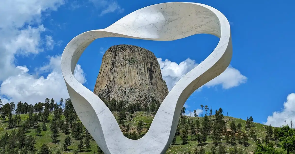 Qual è la storia del Wyoming in breve?