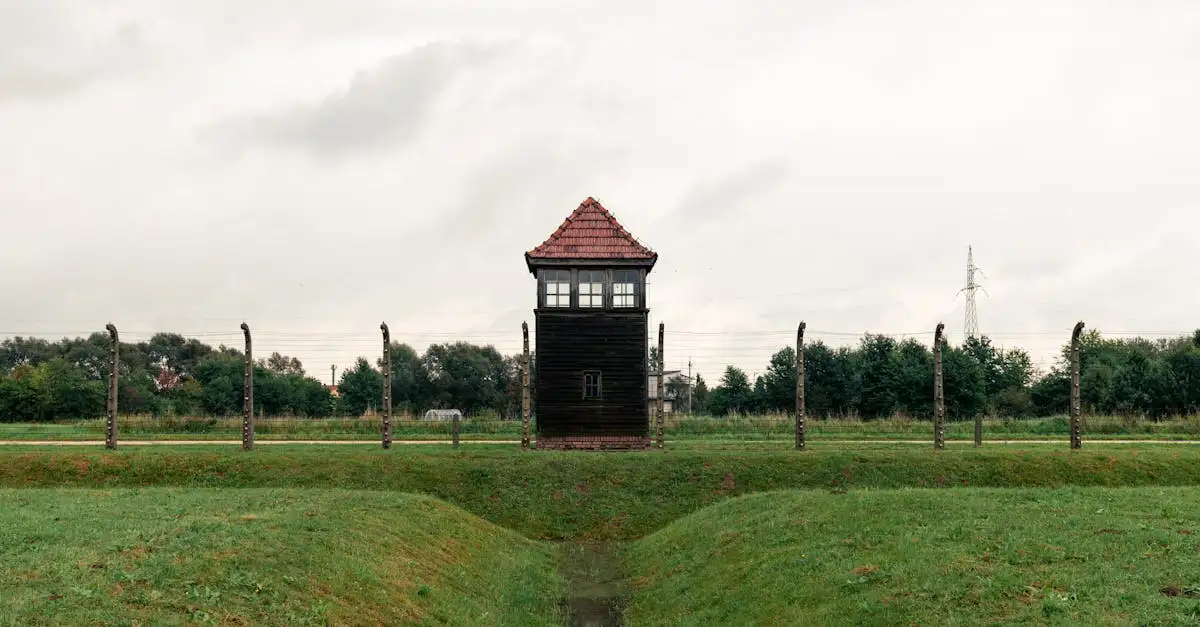 Chi era il leader della Germania nazista nella WWII?
