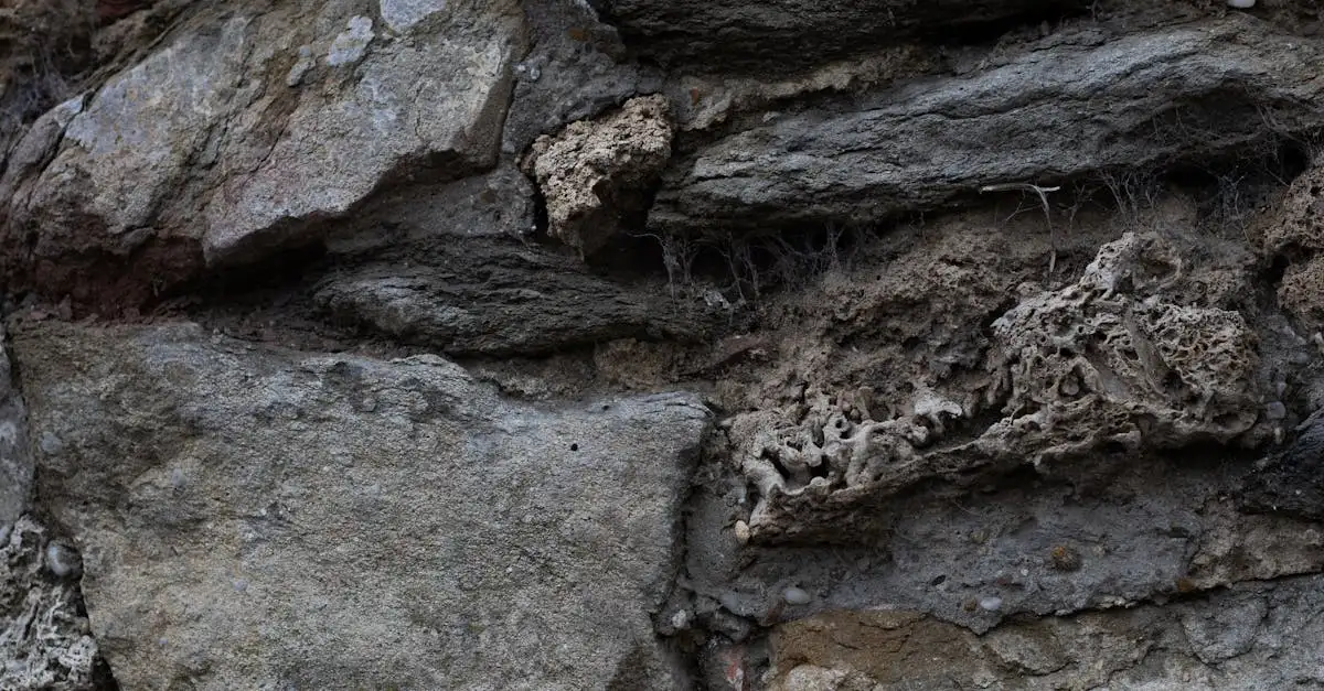 Come creavano i Neandertaliani i loro strumenti di pietra?