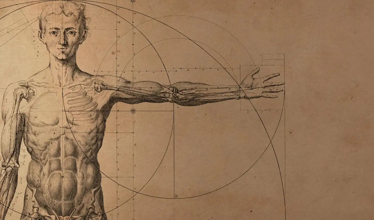 Come gli studi di Vesalio hanno rivoluzionato la medicina?