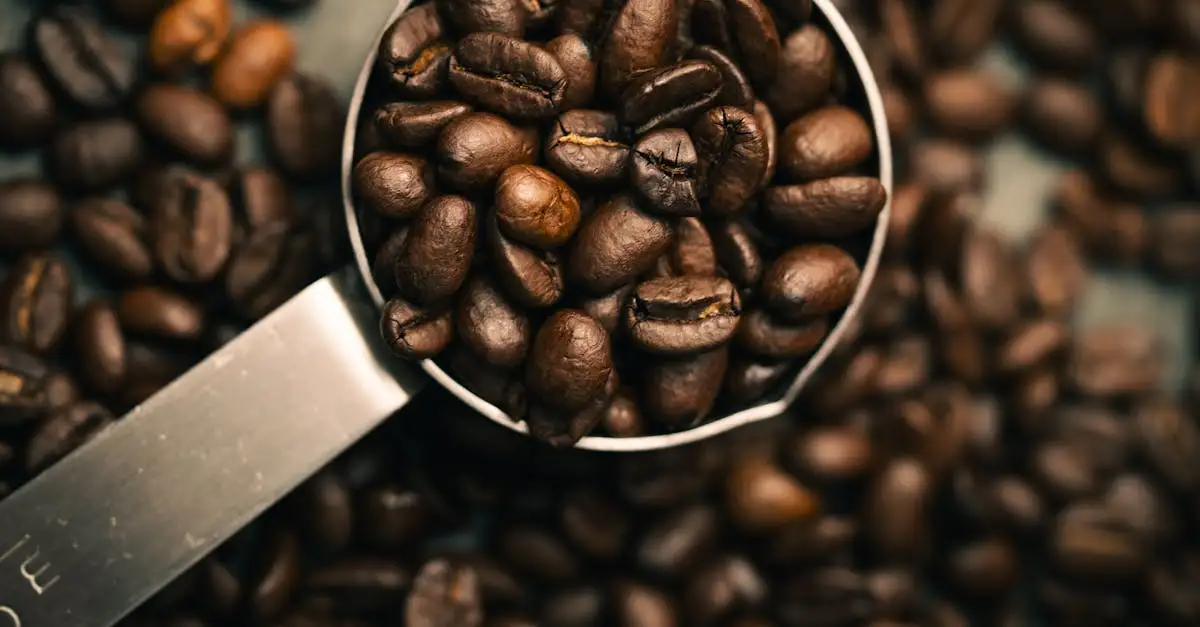 Come si chiama il fondo di caffè?