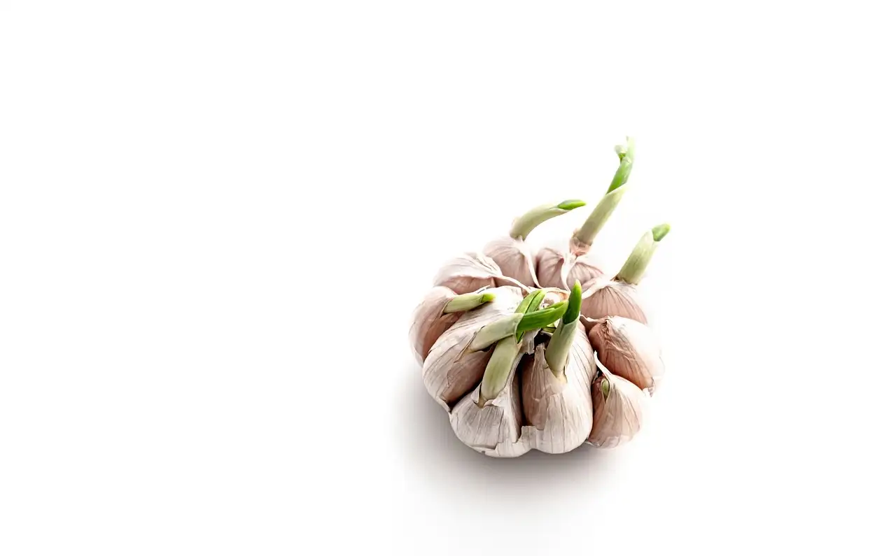 Come usare trappole di patate per combattere i pesci d'argento?