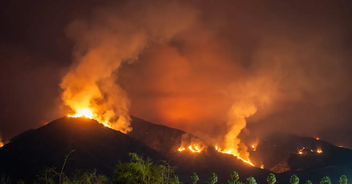 Cosa ha scatenato gli incendi in California nel 2018?