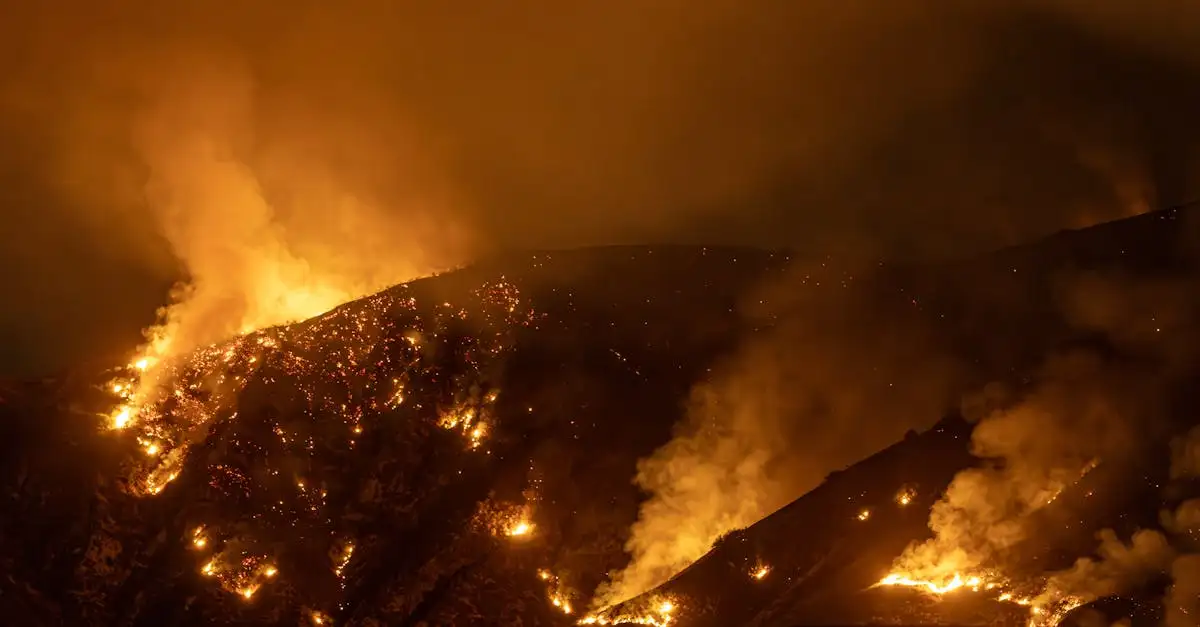 Cosa ha scatenato gli incendi in California nel 2018?