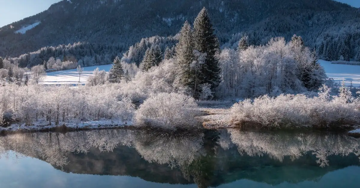 Cosa rende unico il Parco Nazionale Urho Kekkonen?