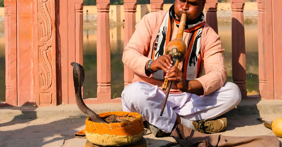 Cosa vedere nelle vivaci strade colorate di Jaipur?