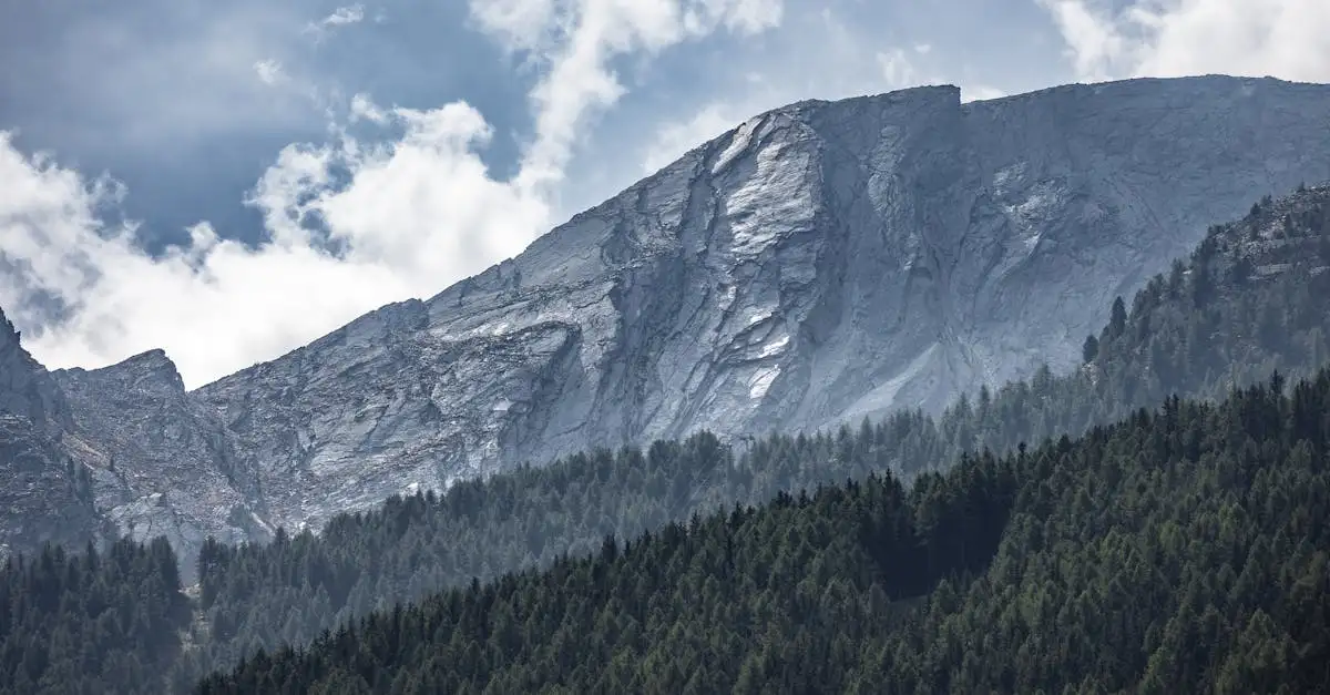 Cos'è il Parco Nazionale del Gran Paradiso in Italia?