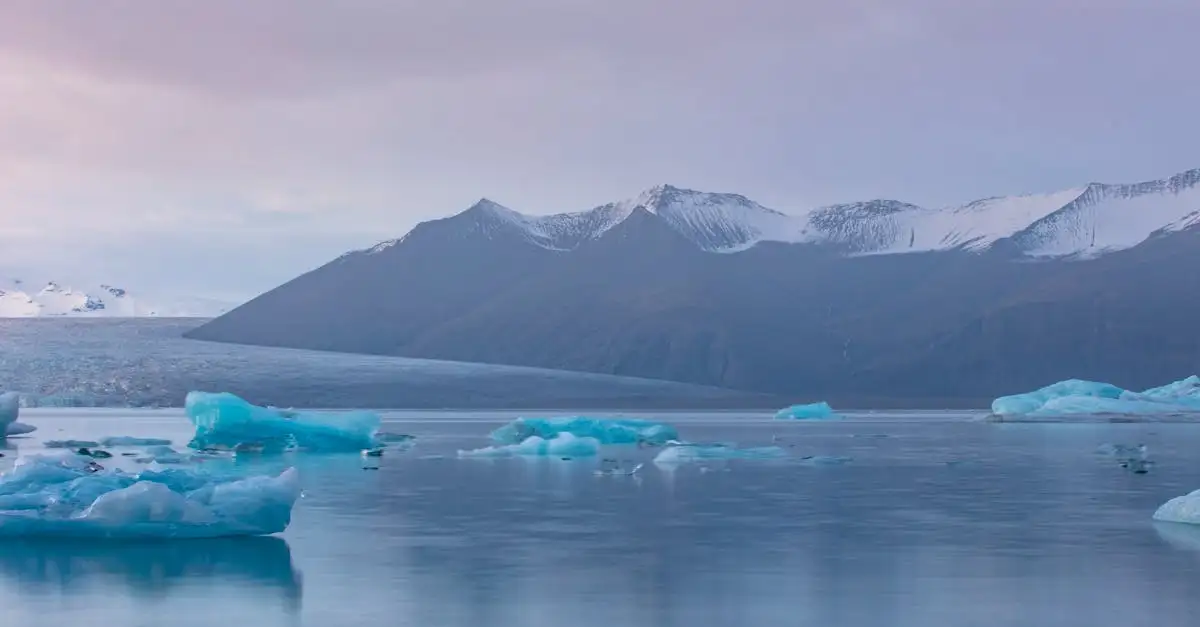 Dove vedere i ghiacciai nel Parco Nazionale della Groenlandia?