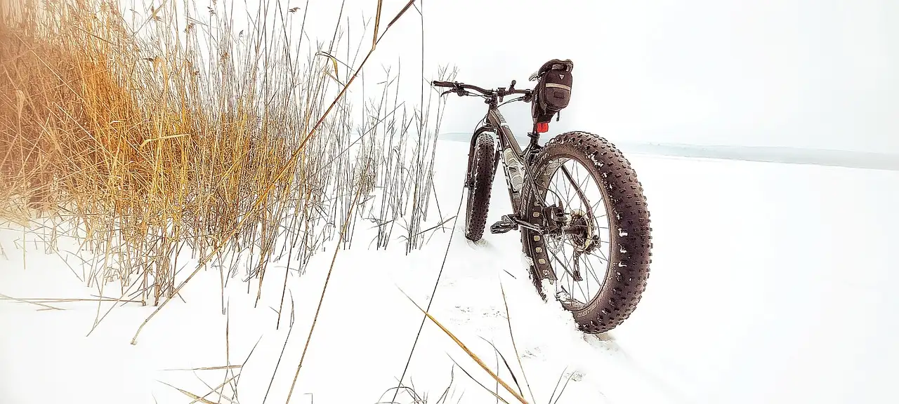 È necessaria la patente per guidare una fatbike?