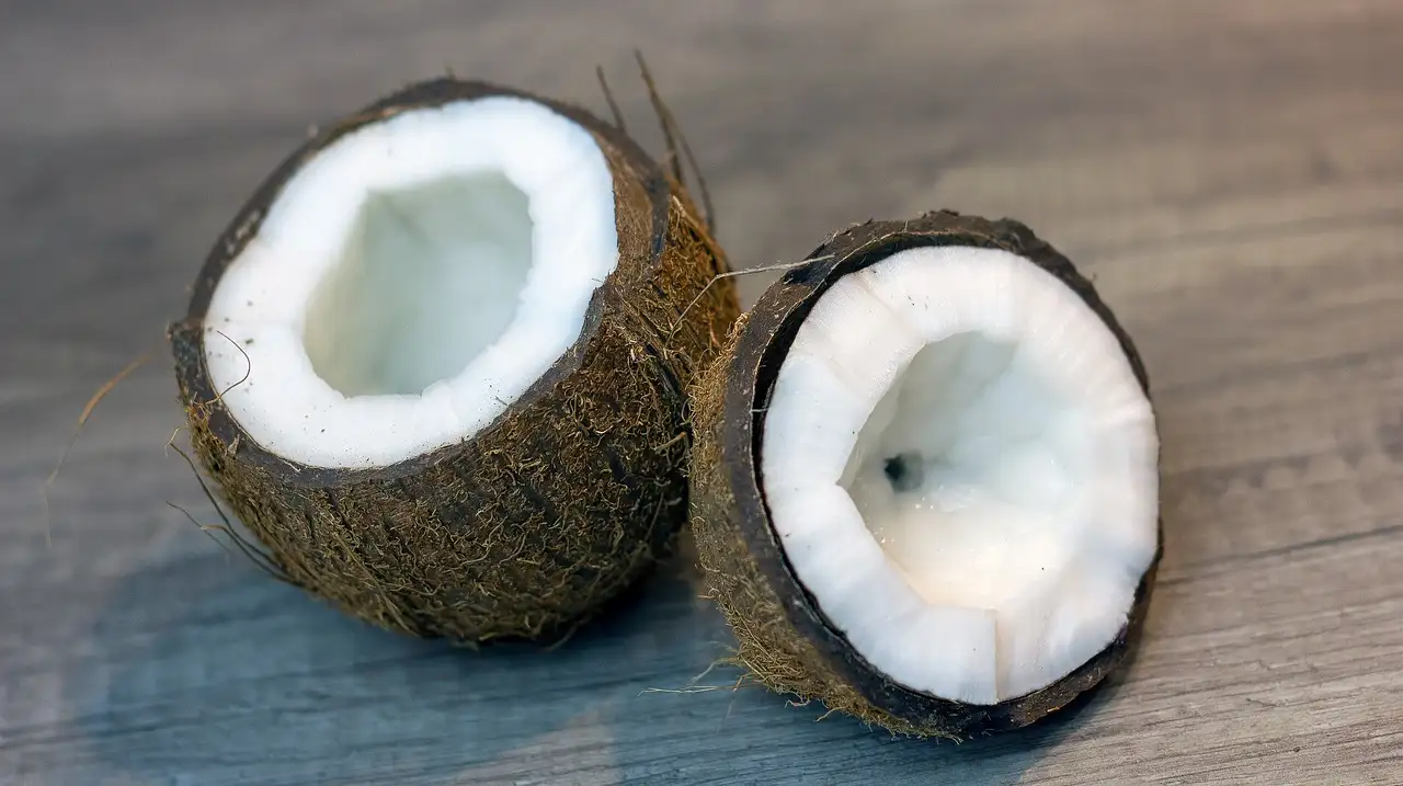 Il cocco essiccato è davvero sano per la tua dieta?