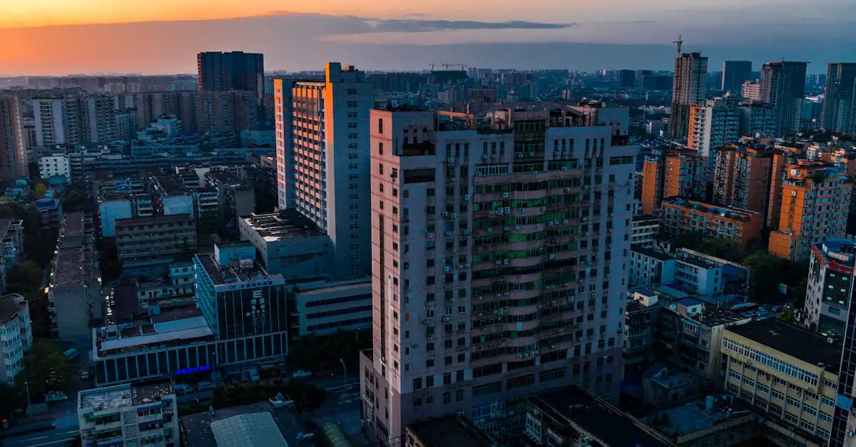 Perché Chengdu è la migliore città per i panda?