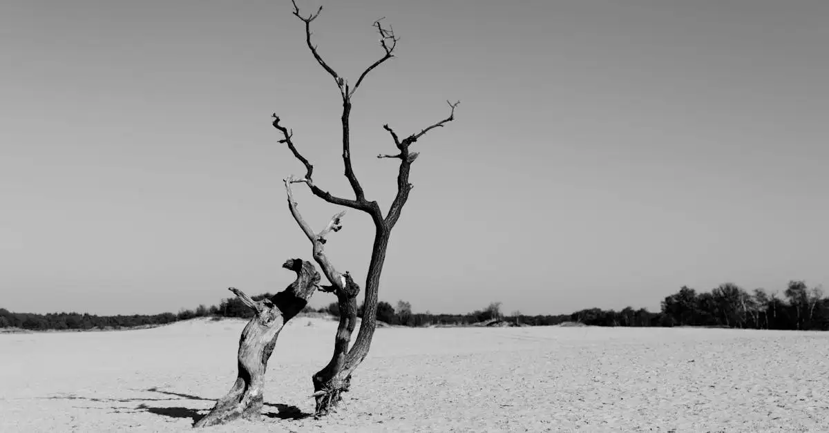Perché Lake Eyre è unico nonostante la sua siccità?