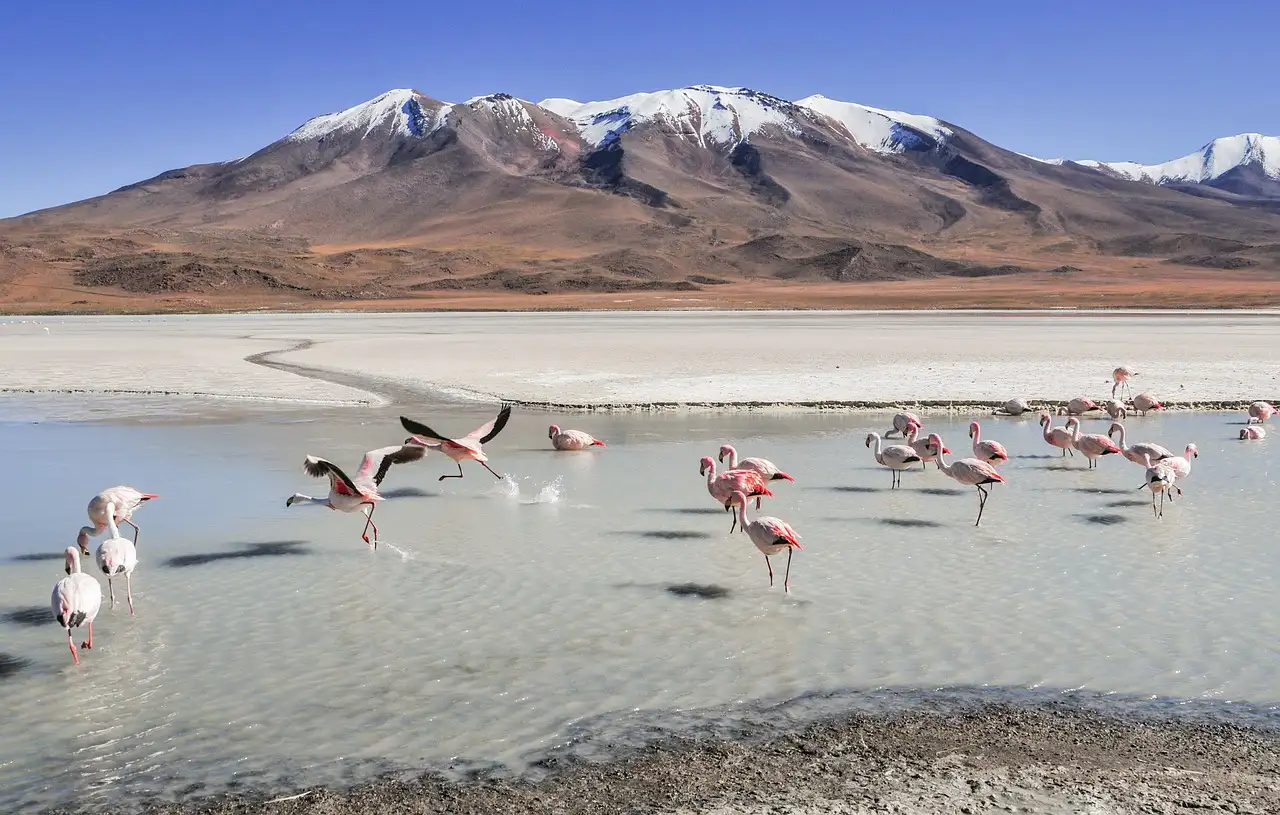 Qual è la città della Bolivia con il cimitero dei treni?