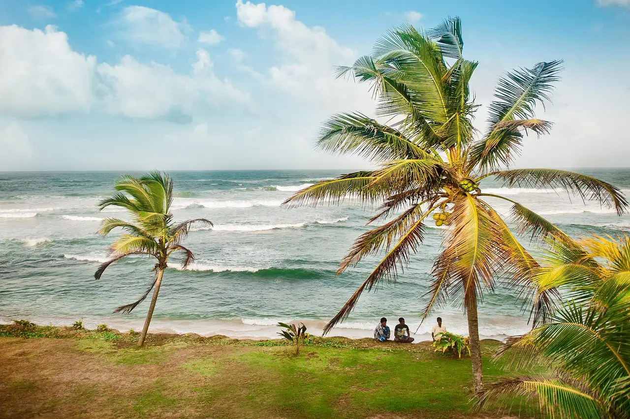 Qual è la città dello Sri Lanka famosa per il commercio del tè?