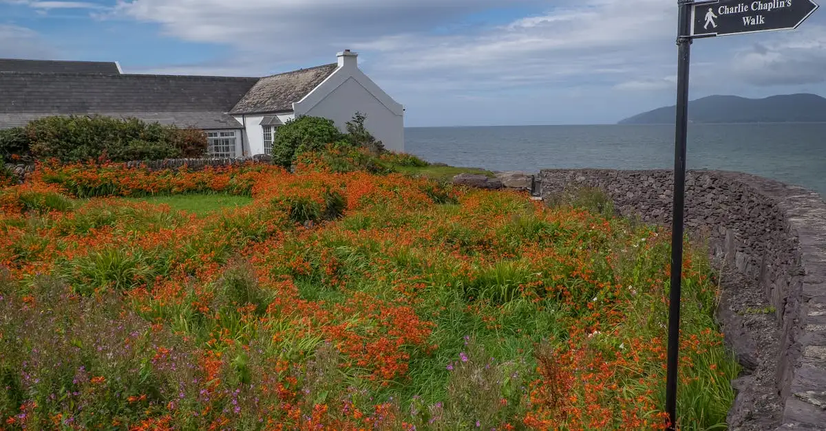 Qual è la regione che protegge il Ring of Kerry in Irlanda?