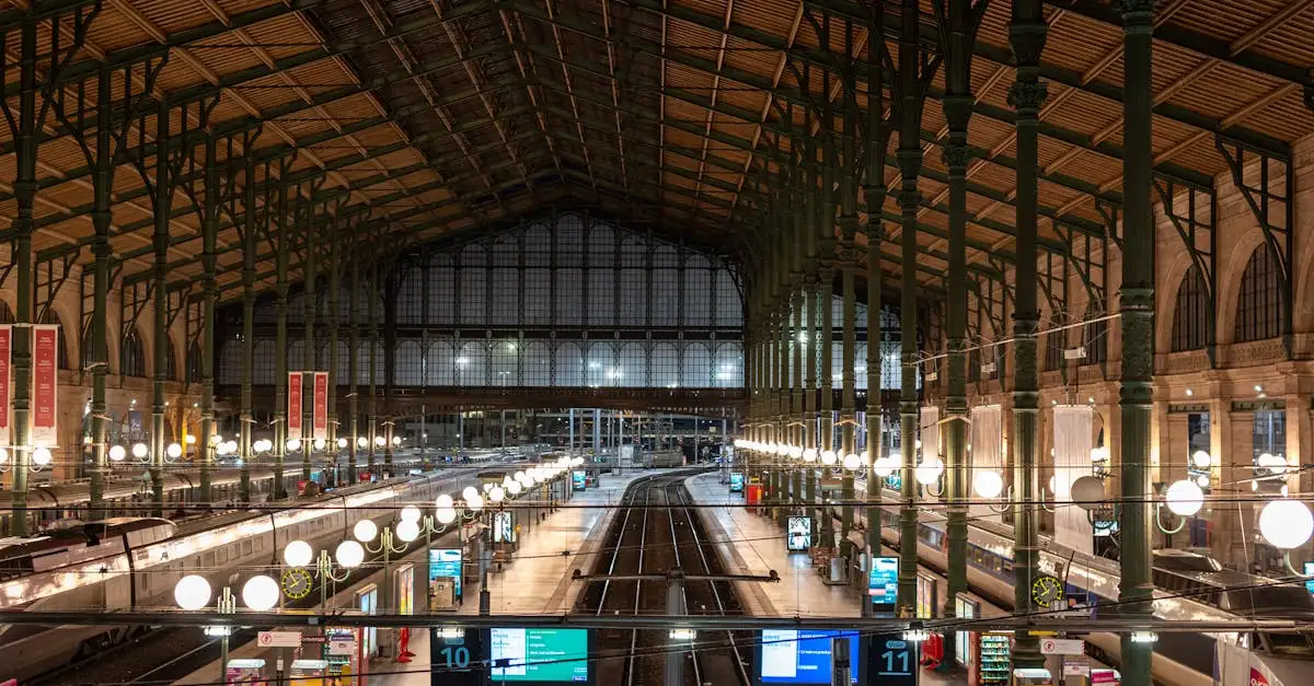 Qual è l'impatto della privatizzazione sulle ferrovie?