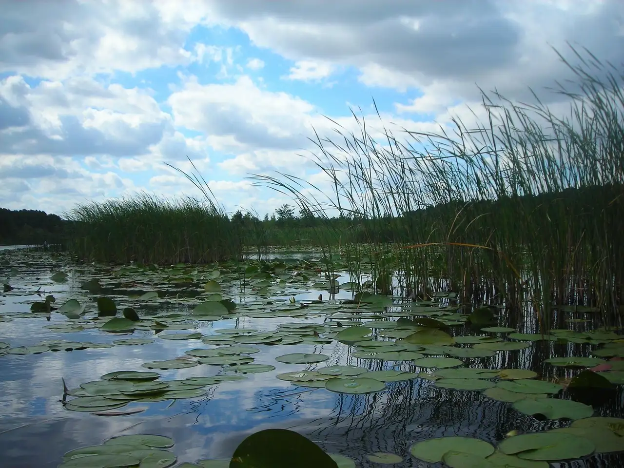Quali sono i punti salienti del lago Müritz in Germania?