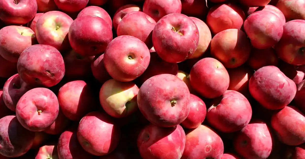 Quali sono le 3 migliori specialità culinarie del Vermont?