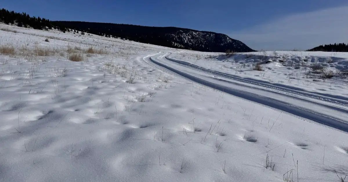 Quali sono le colline dei Sidhe e il loro significato?