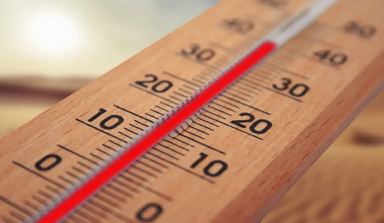 A che temperatura è meglio verticutare il prato? Scopri di più!