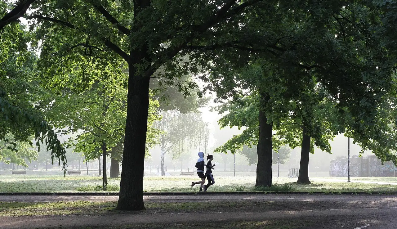 A cosa serve correre? Scopri i benefici dell'attività!