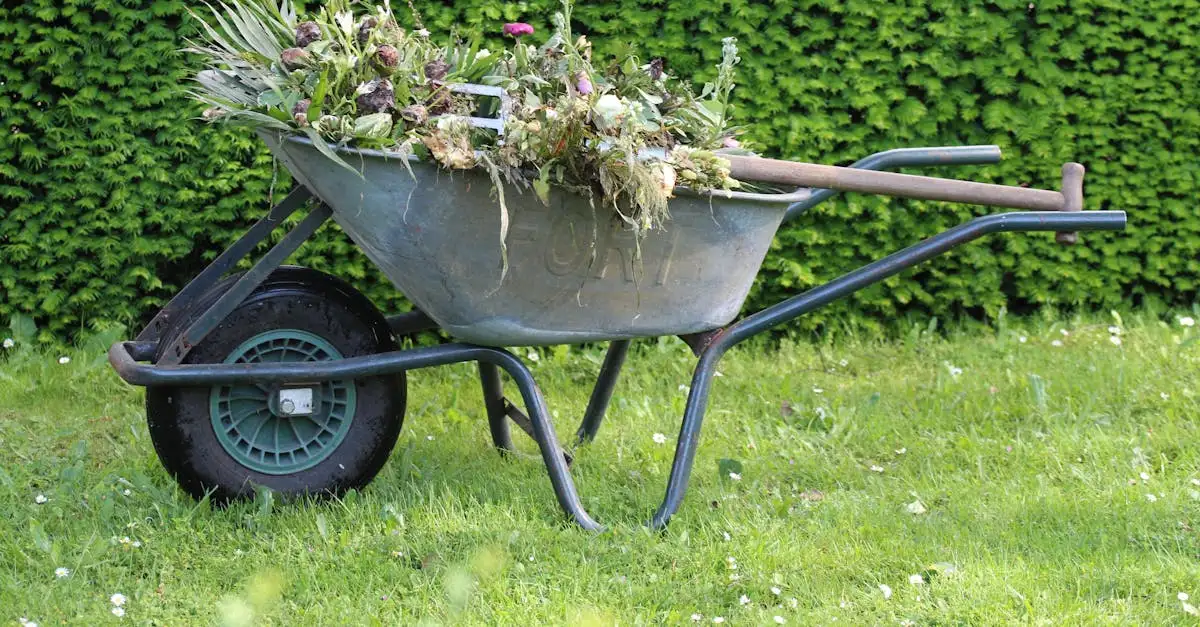 A cosa serve il compost? Scopri i suoi vantaggi!