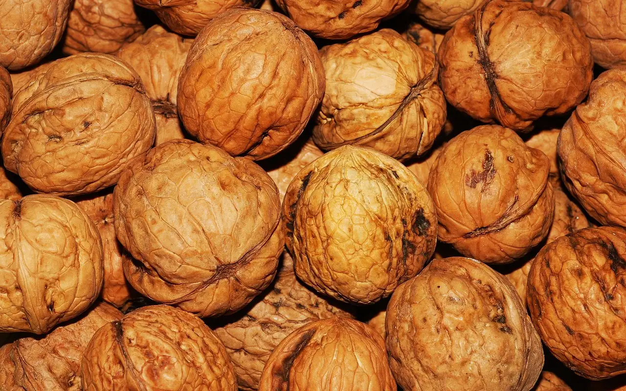 A cosa servono le noci? Scopri i loro benefici!