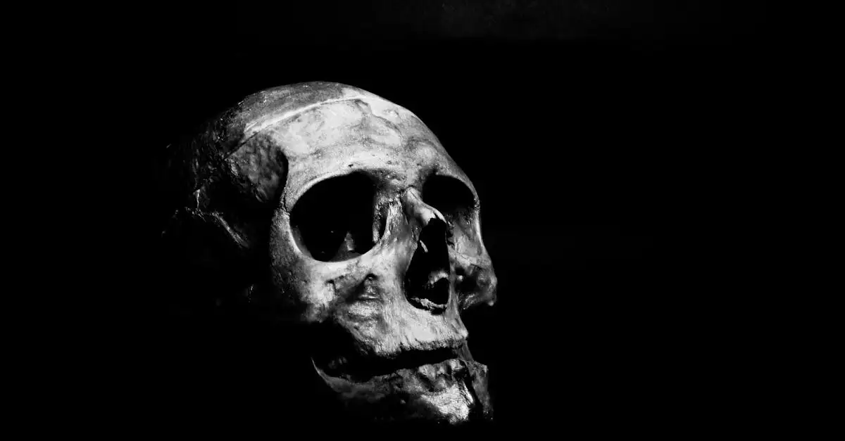 Chi era Höðr e che ruolo ebbe nella morte di Balder?