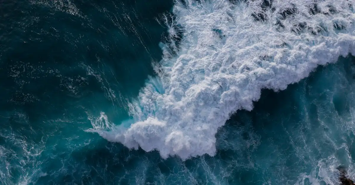 Come ha cambiato lo tsunami del 1960 le coste delle Hawaii?
