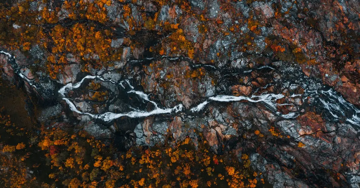 Dove si trova la wilderness della Lapponia in Svezia?