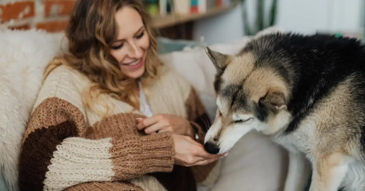 Potete scrivere articoli divertenti sui cani?
