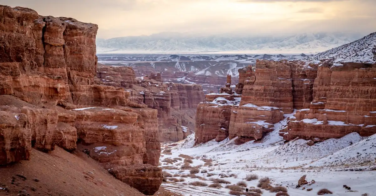 Qual è il deserto del Kazakistan e Uzbekistan con il Mar d'Aral?